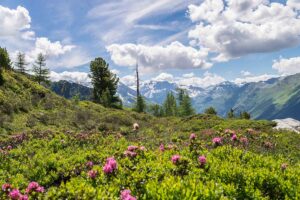 Gastein Sommer Berge