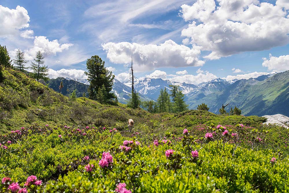 Gastein Sommer Berge